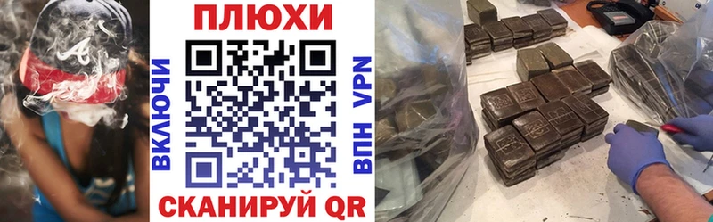 ГАШ Premium  Зуевка 