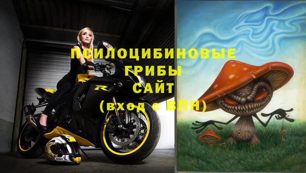 стафф Семилуки